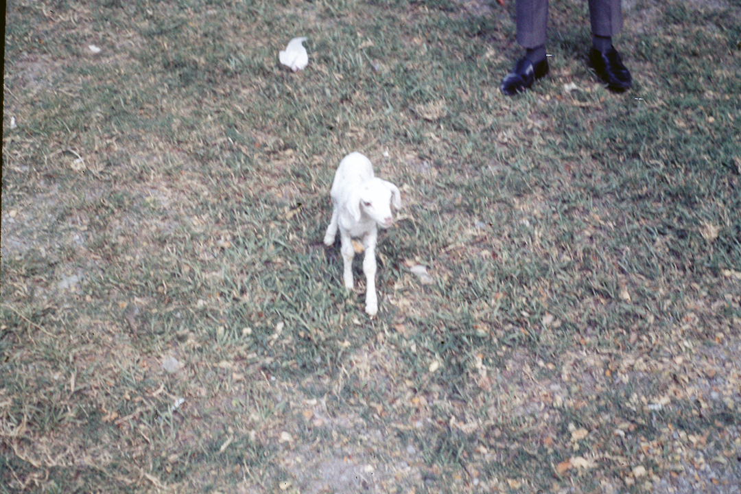 Bangkok 1968